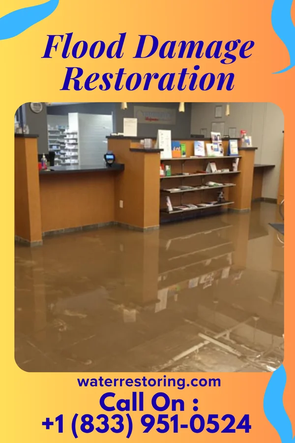 Flood Damage Restoration in Snook, TX